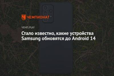 Стало известно, какие устройства Samsung обновятся до Android 14 - championat.com