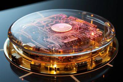 Разработчики DishBrain, компьютера с нейронами человека, получили $407 тыс. от австралийской DARPA - itc.ua - Украина - Мельбурн
