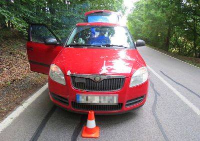 В Чехии пьяный водитель сам вызвал полицию после столкновения с косулей - vinegret.cz - Чехия