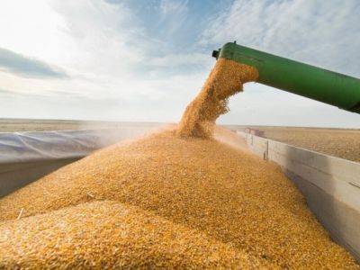 Румыния готова отгружать больше украинского зерна после выхода рф из соглашения - Reuters - unn.com.ua - Украина - Киев - Румыния - Констанца - Reuters