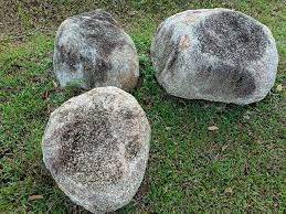 Ученых заворожил «чрезвычайно захватывающий и редкий» доисторический камень: нашли случайно - obzor.lt - Англия