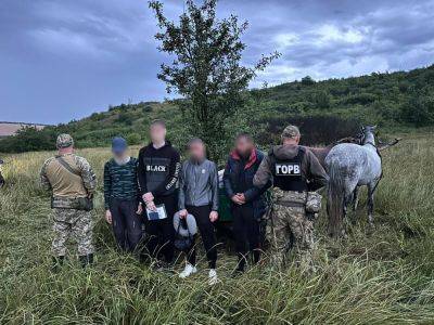 Бежали на телеге. Трех уклонистов с Харьковщины поймали на границе с Молдовой - objectiv.tv - США - Молдавия - Харьковская обл. - Одесская обл.