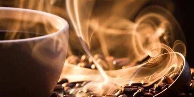 Пейте на здоровье. Итальянские ученые утверждают, что кофе защищает от болезни Альцгеймера - nv.ua - Украина
