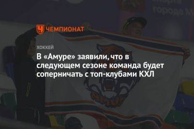 Иван Николишин - В «Амуре» заявили, что в следующем сезоне команда будет соперничать с топ-клубами КХЛ - championat.com