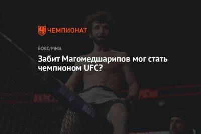 Забит Магомедшарипов - Забит Магомедшарипов мог стать чемпионом UFC? - championat.com - Россия