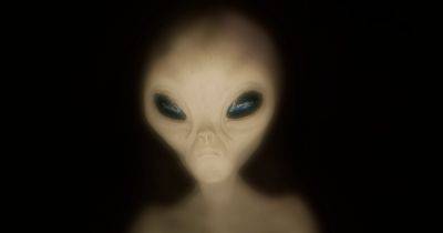 "Любопытные" инопланетяне: ученые рассказали, как пришельцы могут следить за Землей - focus.ua - Украина