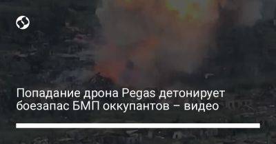 Попадание дрона Pegas детонирует боезапас БМП оккупантов – видео - liga.net - Россия - Украина