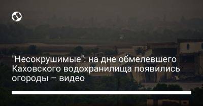 "Несокрушимые": на дне обмелевшего Каховского водохранилища появились огороды – видео - liga.net - Украина - Никополь