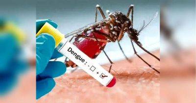 Человечеству угрожает новая пандемия: насколько опасна лихорадка Денге - koronavirus.center - Украина - Судан - Боливия - Аргентина - Парагвай - Reuters