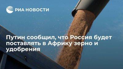 Владимир Путин - Путин: Россия будет работать над поставками в Африку зерна, продовольствия, удобрений - smartmoney.one - Россия