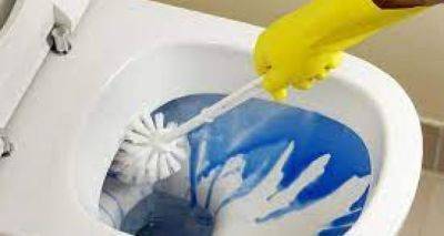 Как часто нужно мыть туалет: ответ вас удивит - cxid.info