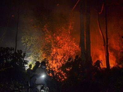 В Индонезии растет риск лесных пожаров: сухая погода пришла раньше ожидаемого - unn.com.ua - Украина - Киев - Индонезия