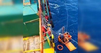 Спасли оранжевые ящики для льда: рыбаки 4 дня провели в море после крушения лодки (фото) - focus.ua - Украина - Австралия - Малайзия