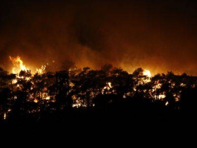 В турецкой Анталии лесные пожары приближаются к курортам, пострадали 6-ро человек - unn.com.ua - Украина - Киев - Турция - Греция