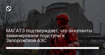 Рафаэль Гросси - МАГАТЭ подтверждает, что оккупанты заминировали подступы к Запорожской АЭС - liga.net - Россия - Украина