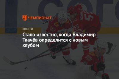 Владимир Ткачев - Стало известно, когда Владимир Ткачёв определится с новым клубом - championat.com - Россия - Сочи - Лос-Анджелес - Sochi