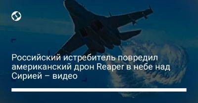 Башар Асад - Российский истребитель повредил американский дрон Reaper в небе над Сирией – видео - liga.net - Россия - США - Сирия - Украина