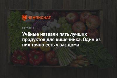 Учёные назвали пять лучших продуктов для кишечника. Один из них точно есть у вас дома - championat.com - Сан-Хосе