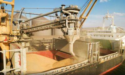 ЕК рассмотрит вывоз зерна с Украины через морские порты Балтии - obzor.lt - Россия - Украина - Турция - Польша - Литва - Брюссель - Прибалтика