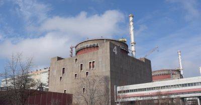 Герман Галущенко - Реактор может взорваться в любой момент: в Минэнерго вышли с предупреждением о безопасности на ЗАЭС - dsnews.ua - Россия - Украина