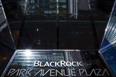 BlackRock: экономика США находится в состоянии «американских горок» - smartmoney.one - США - Reuters