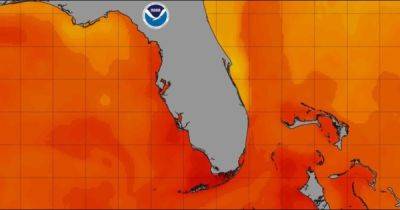 Океан превращается в джакузи. Температура поверхности моря впервые достигла рекордных 37,8°C - focus.ua - Украина - шт.Флорида