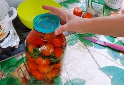 Вы закачаетесь от этого вкуса: еврейский рецепт первых малосольных помидоров с черной смородиной - hyser.com.ua - Украина