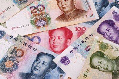 Банк России продал на внутреннем рынке юаней на 1,7 миллиарда рублей с расчетами 26 июля - smartmoney.one - Москва - Россия