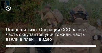 Подошли тихо. Операция ССО на юге: часть оккупантов уничтожили, часть взяли в плен – видео - liga.net - Украина