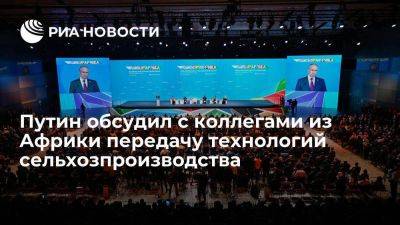 Владимир Путин - Путин сообщил, что обсудил с коллегами из Африки передачу технологий сельхозпроизводства - smartmoney.one - Россия - Санкт-Петербург - Сочи