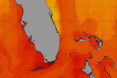 Климатический кризис уже в 2025 году: +38°C у побережья США, таянье льдов, остановка течений в Атлантике - itc.ua - США - Украина - шт.Флорида - Антарктида