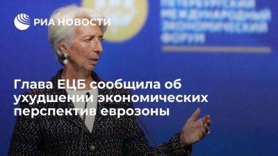 Кристин Лагард - Глава ЕЦБ Лагард: экономические перспективы еврозоны ухудшились из-за высокой инфляции - smartmoney.one - Россия