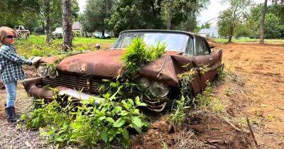 В поле нашли заброшенным редкий американский автомобиль: он 40 лет стоял на месте (видео) - focus.ua - США - Украина - Находки