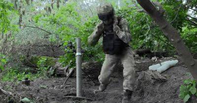Украинский - "Украинский Вьетнам": как воюют пограничники в Серебрянском лесу (видео) - focus.ua - Украина - Вьетнам
