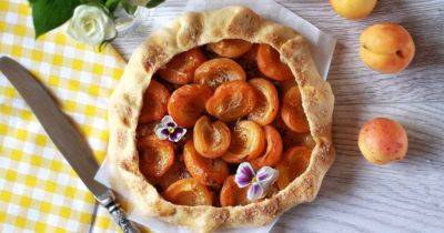Творожная галета с абрикосами: простой рецепт вкуснейшего сезонного десерта - focus.ua - Украина
