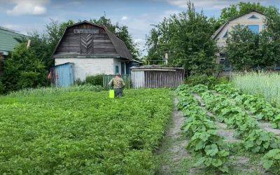 Старинная хитрость: для чего опытные дачники вешают на кусты и деревья кусочки желтой ткани - hyser.com.ua - Украина