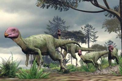 В Таиланде открыли новый вид мини-динозавра, жившего в Юрский период - фото - apostrophe.ua - Китай - США - Украина - Англия - Индия - Канада - Таиланд
