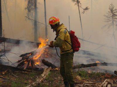 Лесные пожары в Греции вызвали взрывы на складе боеприпасов - unn.com.ua - Украина - Киев - Греция