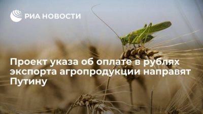 Владимир Путин - Виктория Абрамченко - Викторий Абрамченко - Абрамченко: проект указа об оплате в рублях экспорта агропродукции скоро направят Путину - smartmoney.one - Россия