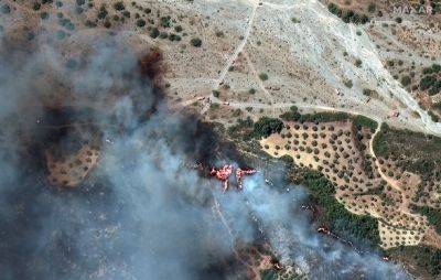 Никос Дендиас - Лесные пожары в Греции через две недели после начала утихли - unn.com.ua - Украина - Киев - Греция