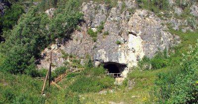 Загадка Денисовой пещеры. В Сибири возле пещеры с древними людьми жили зеброподобные лошади - focus.ua - Украина