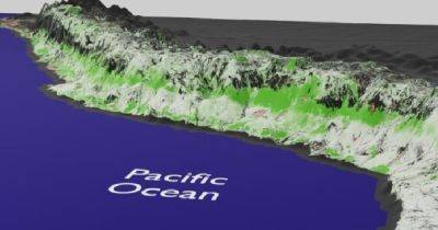 Предупреждающий знак. Гигантский кусок береговой линии Перу зеленеет, и это очень плохо - focus.ua - Украина - Чили