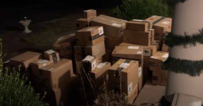 Женщина получила более 100 посылок от Amazon, которые никогда не заказывала (видео) - focus.ua - Китай - США - Украина - Вашингтон - Колумбия
