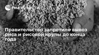 Правительство запретило вывоз риса и рисовой крупы до 31 декабря - smartmoney.one - Россия - Апсны - респ. Южная Осетия
