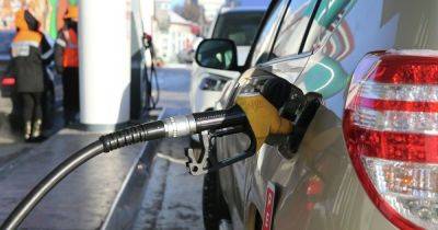 В ближайшее время бензин будет дорожать каждые две недели, — эксперт - dsnews.ua - Украина - Саудовская Аравия