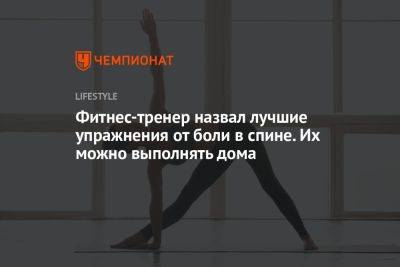 Фитнес-тренер назвал лучшие упражнения от боли в спине. Их можно выполнять дома - championat.com