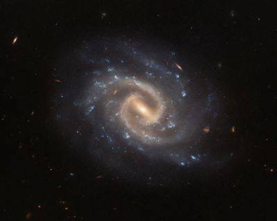 Телескоп "Хаббл" сделал уникальное фото галактики на расстоянии 192 миллионов световых лет - unn.com.ua - Украина - Киев
