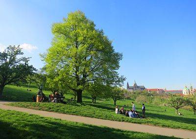 Узнать историю памятных деревьев Праги поможет онлайн-путеводитель - vinegret.cz - Чехия - Прага - Чсср