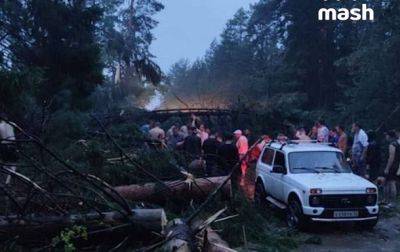 В России в результате урагана погибли восемь человек - korrespondent.net - Москва - Россия - Украина - респ. Марий Эл
