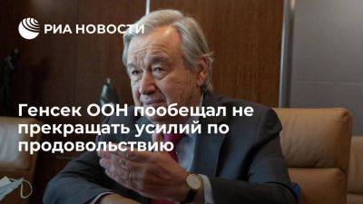 Владимир Путин - Антониу Гутерреш - Генсек ООН Гутерреш пообещал не прекращать усилий по облегчению доступа к продовольствию - smartmoney.one - Россия - Украина - Турция - Одесса - Тольятти